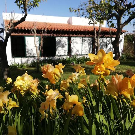 Casa Rural Limon Y Sol El El Sauzal Esterno foto