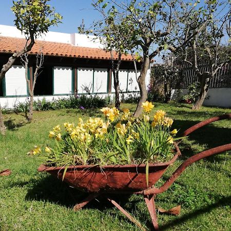 Casa Rural Limon Y Sol El El Sauzal Esterno foto