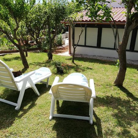 Casa Rural Limon Y Sol El El Sauzal Esterno foto