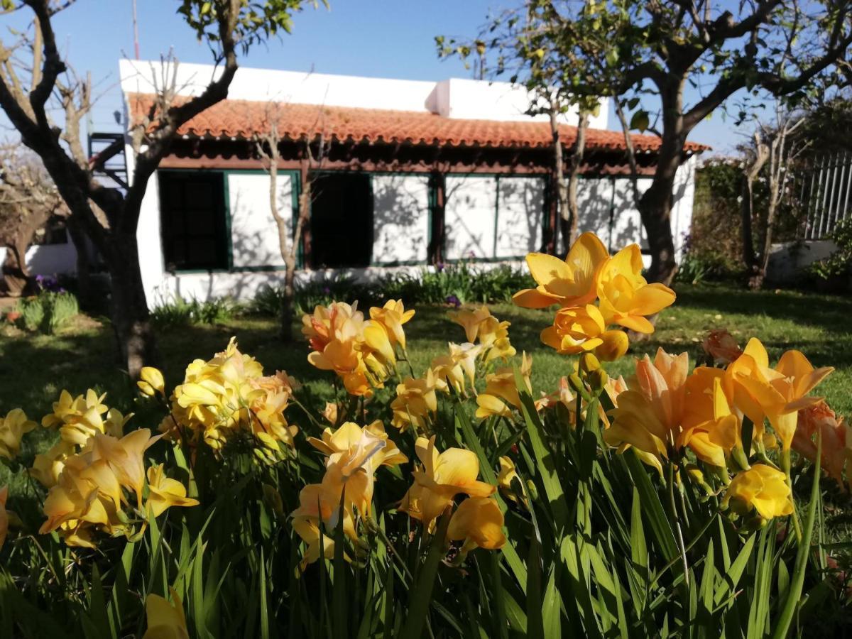 Casa Rural Limon Y Sol El El Sauzal Esterno foto