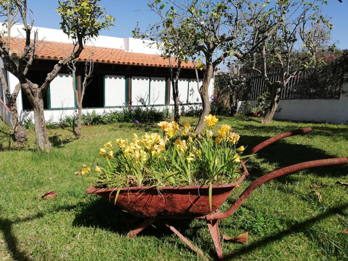 Casa Rural Limon Y Sol El El Sauzal Esterno foto