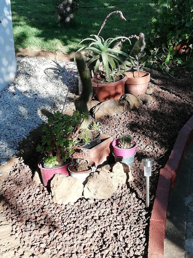 Casa Rural Limon Y Sol El El Sauzal Esterno foto