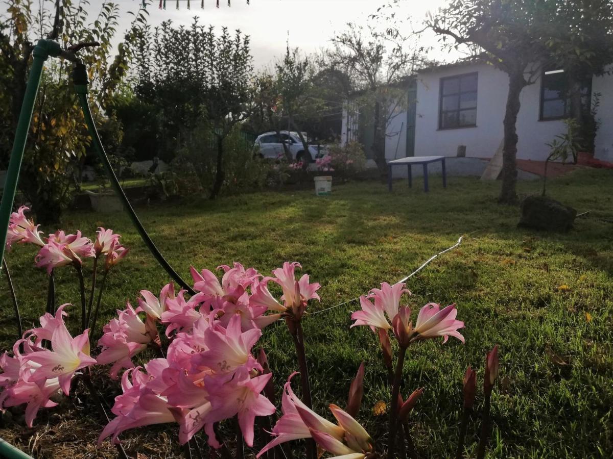 Casa Rural Limon Y Sol El El Sauzal Esterno foto