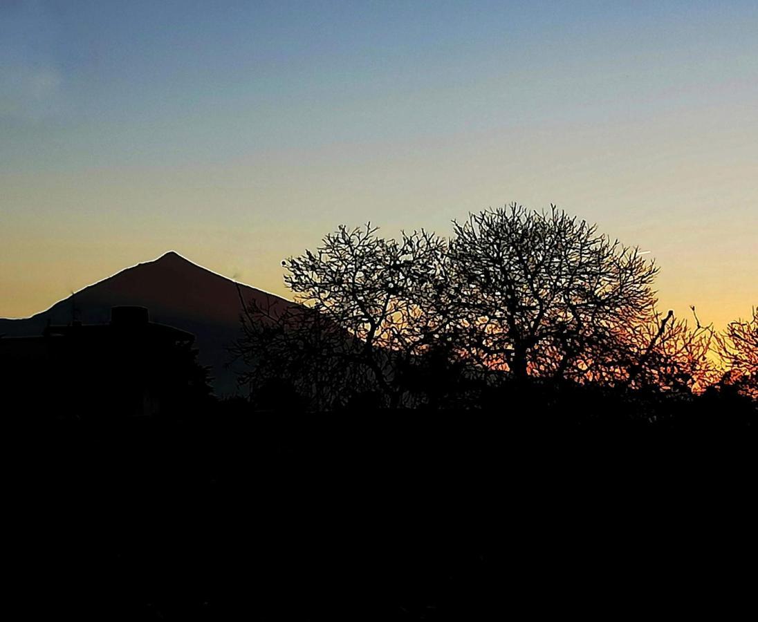 Casa Rural Limon Y Sol El El Sauzal Esterno foto
