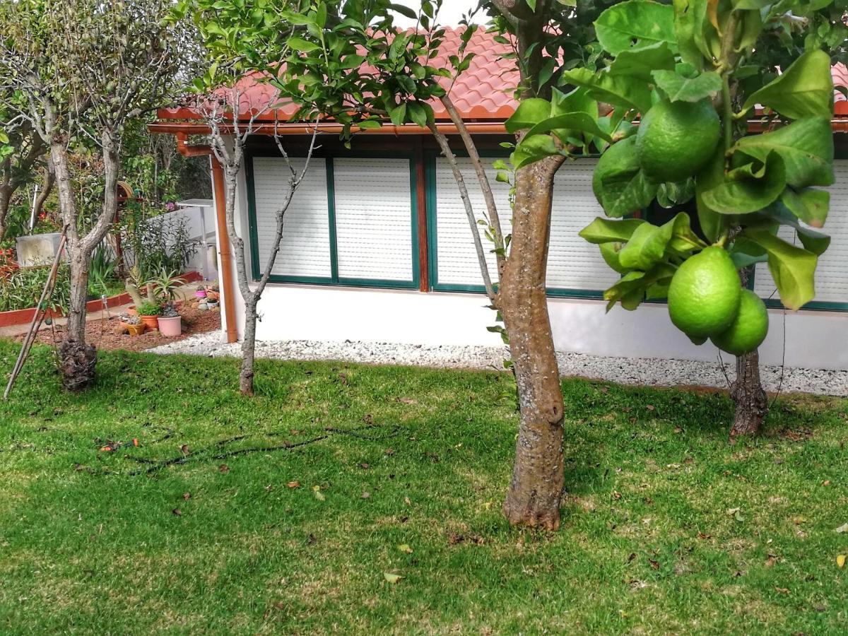 Casa Rural Limon Y Sol El El Sauzal Esterno foto