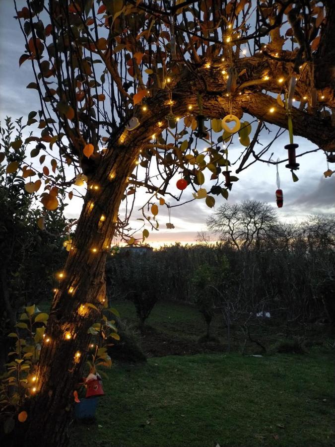 Casa Rural Limon Y Sol El El Sauzal Esterno foto